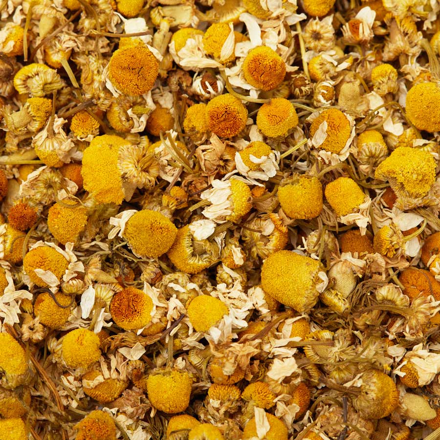 Chamomile