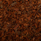 Cinnamon