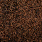 City Harvest Black