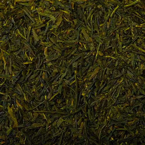 Sencha
