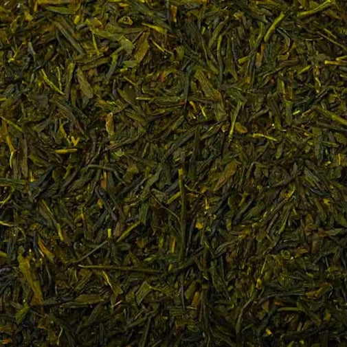 Sencha