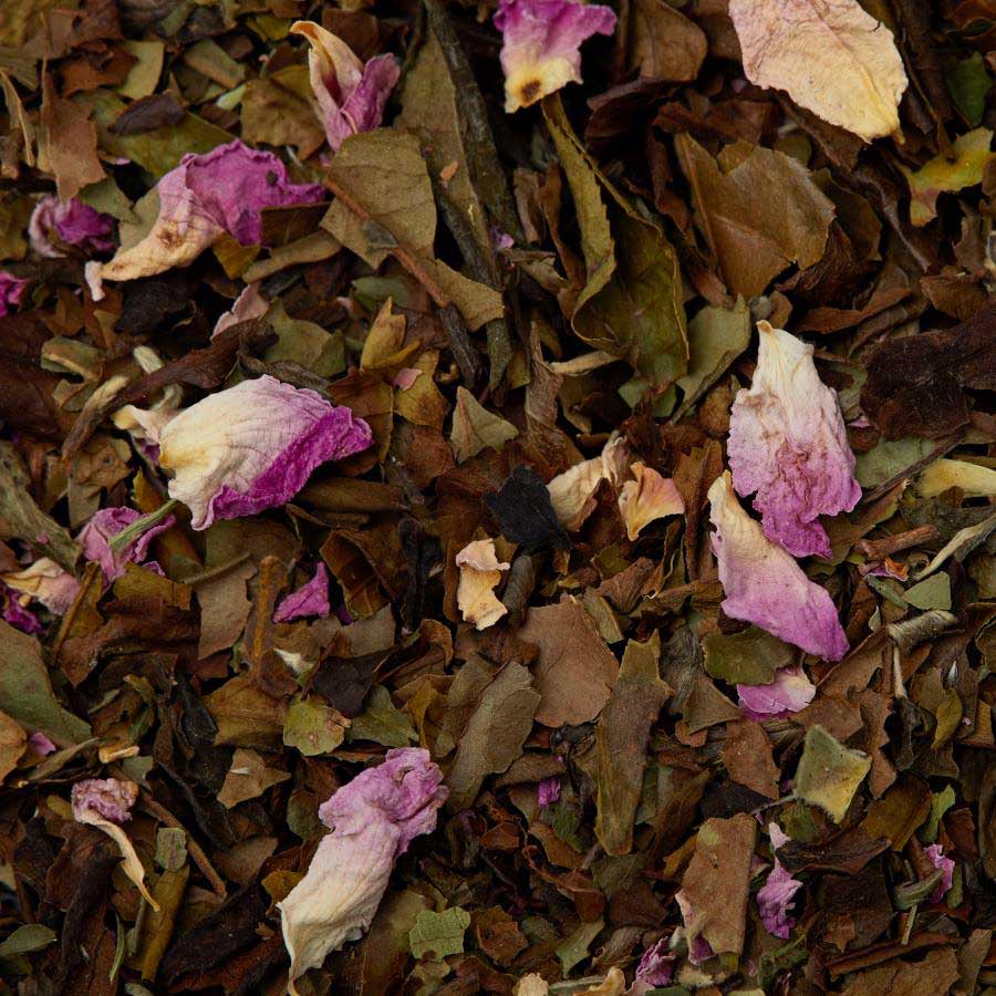 Shanghai Rose