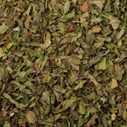 Spearmint