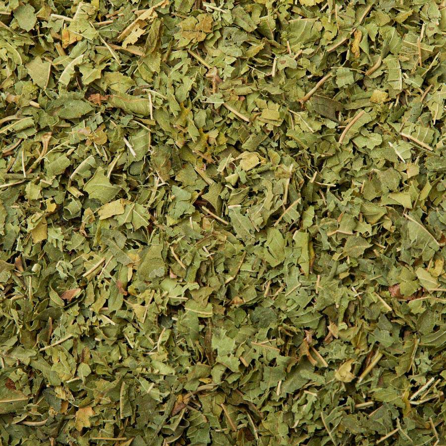 Veritable Verbena
