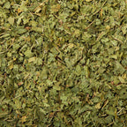 Veritable Verbena