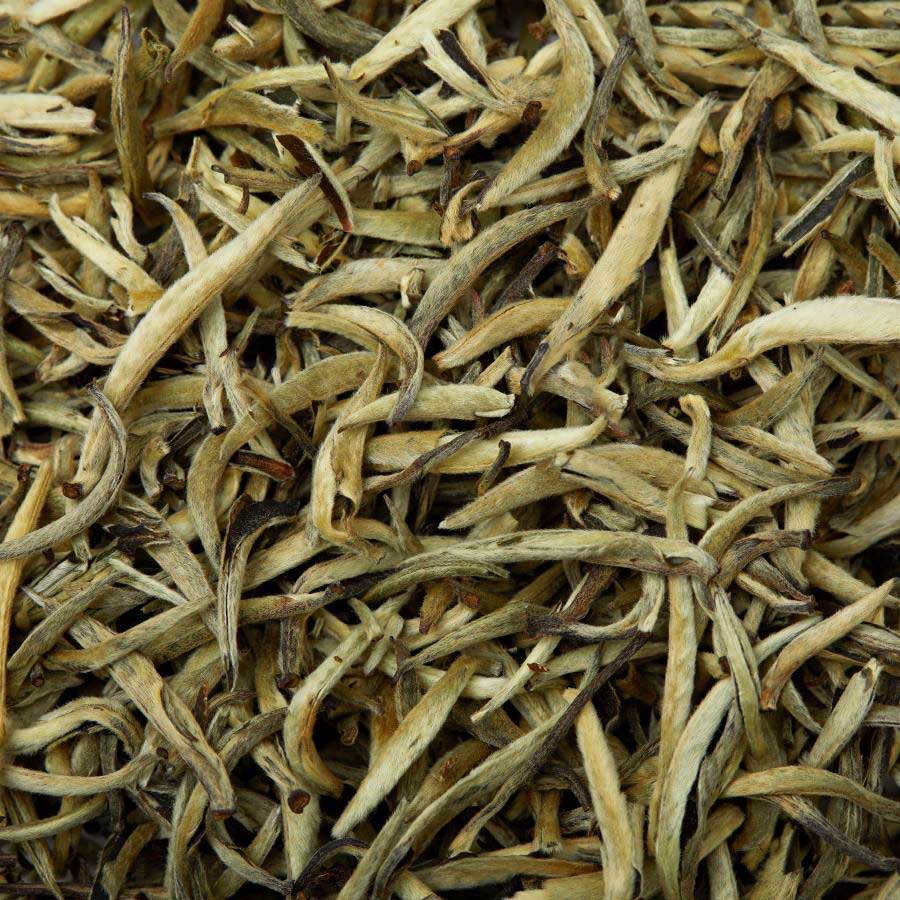 Yin Zhen aka Silver Needle