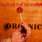 Tea Lollies ~ Little Green Apples