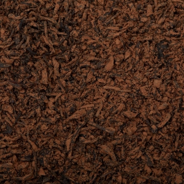 City Harvest Black