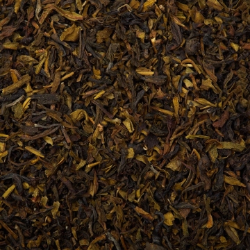 Darjeeling Green