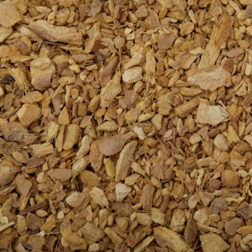Ginger