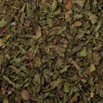 Spearmint