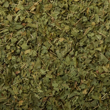 Veritable Verbena