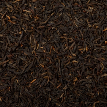 Yunnan